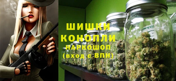 эйфоретик Арсеньев