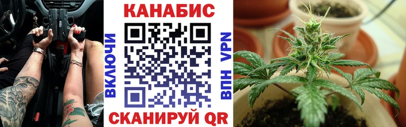 как найти   Правдинск  Марихуана сатива 